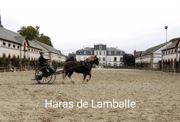 Perle Rare, Appartement Paisible Et Cosy Lamballe Kültér fotó
